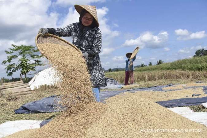 BPS Catat Harga Beras Dan Gabah Kompak Naik Pada Juni 2024 Food Station